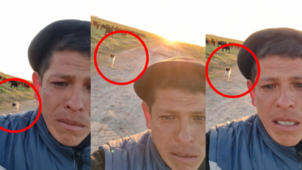 Despido laboral con sabor amargo: hombre llora por dejar a perrito que lo acompañó 11 años
