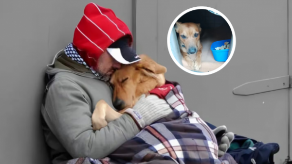 Eligió quedarse con su perro y perdió la vida por el frío: la triste historia de Juan, hombre en situación de calle
