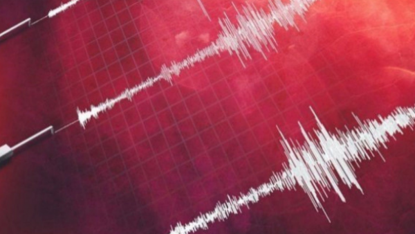 Temblor se registra en la zona austral del país
