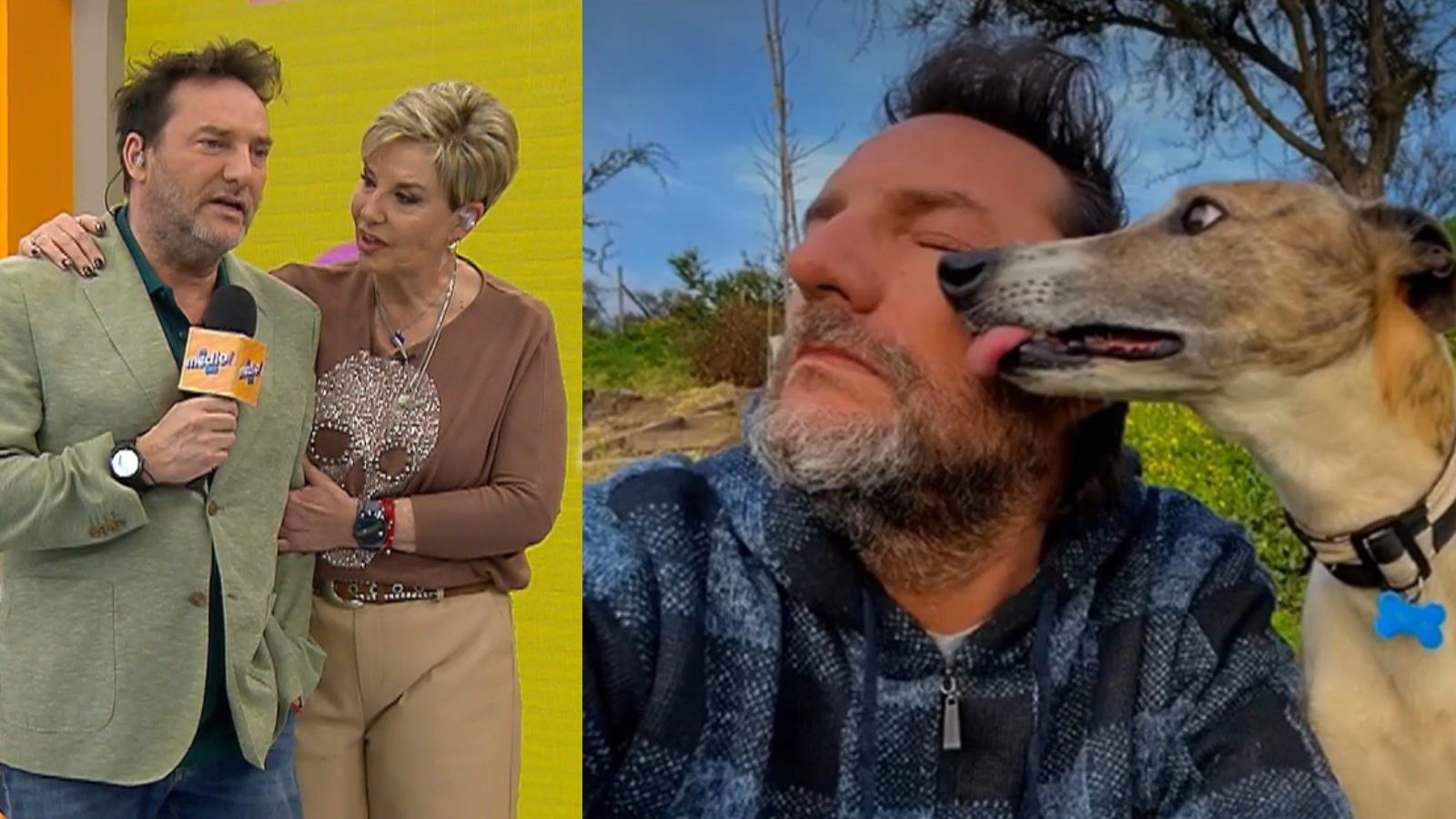 "Le diste la mejor vida": El aplaudido consuelo de Paulina Nin de Cardona a Dani por la muerte de su perrito
