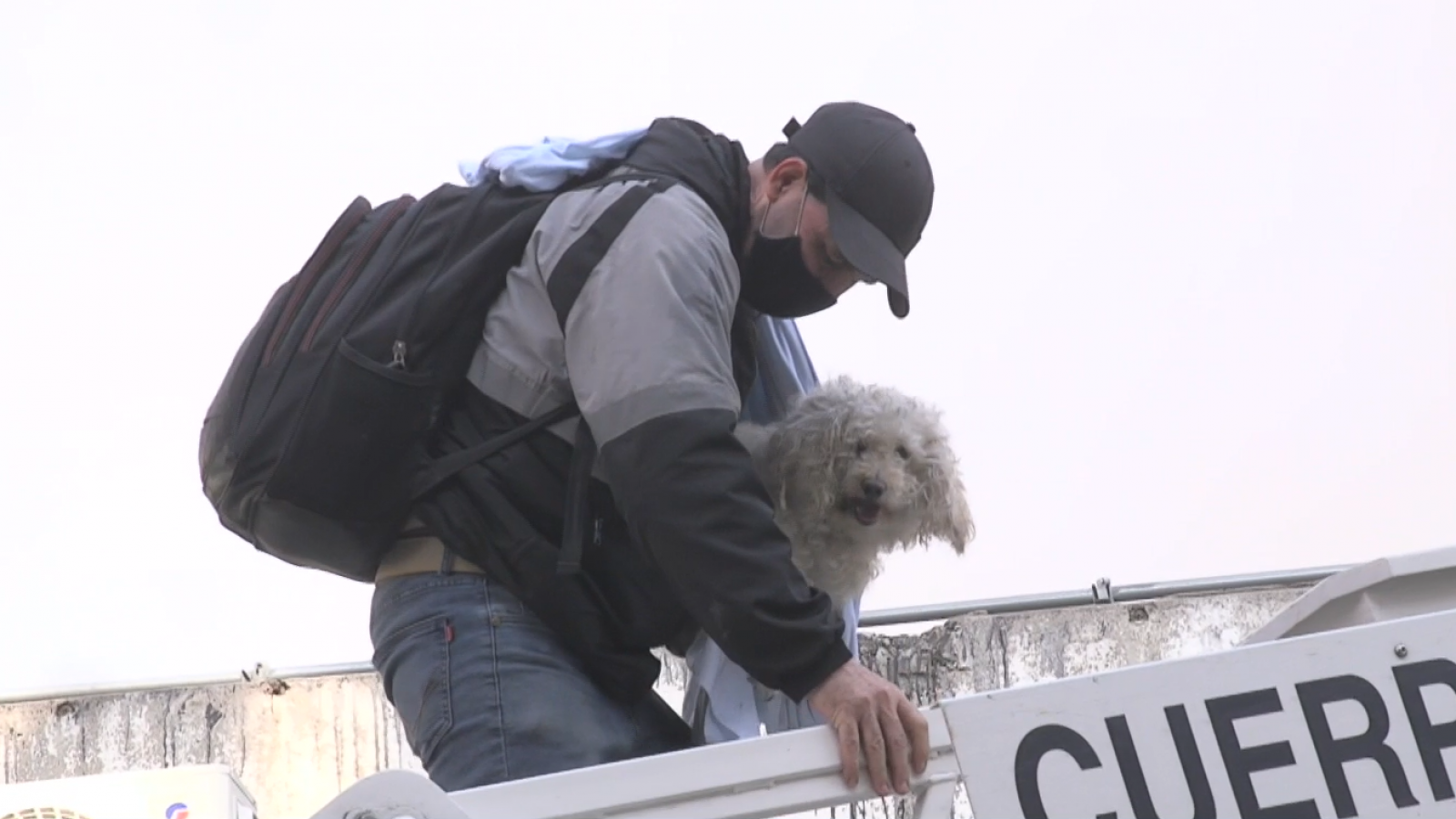 Perritos son rescatados de incendio de edificio en centro de Santiago
