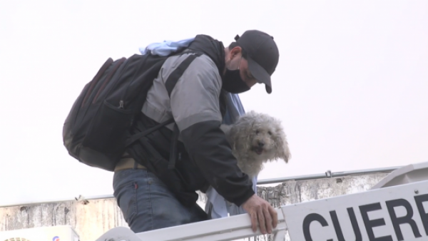 Perritos son rescatados de incendio de edificio en centro de Santiago
