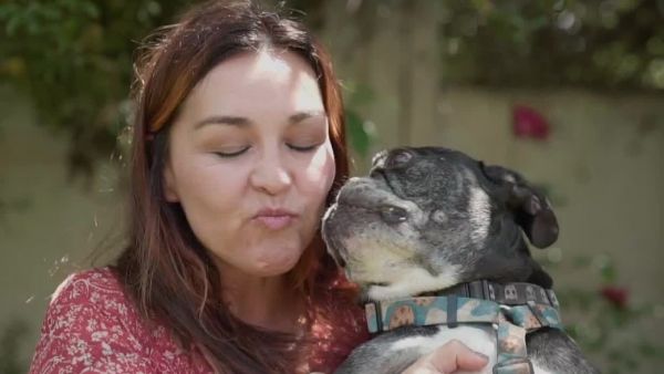 Acción Animal en NTV: Emergencias, rescates y conservación
