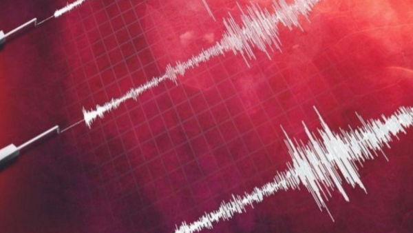 <p>Sismógrafo</p>Terremoto en Alaska: SHOA descarta tsunami en costas de Chile

