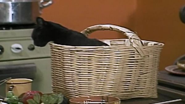 <p>El Chavo del 8</p>El Chavo del 8: Leche para la gata
