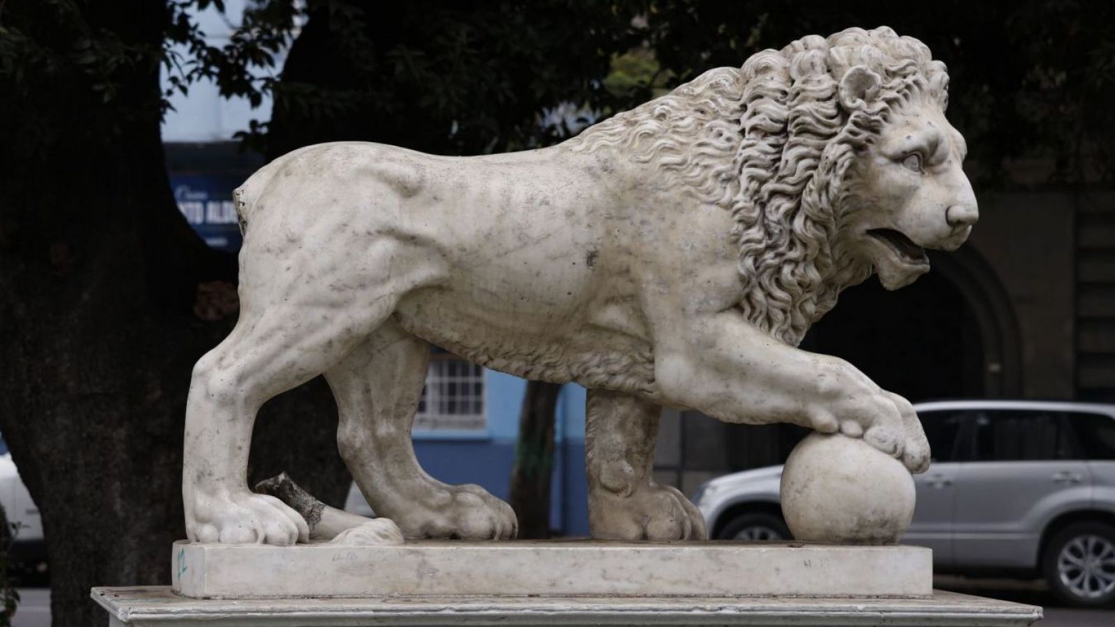 Está sin su cola: león del Parque Italia en Valparíaso sufre daño patrimonial