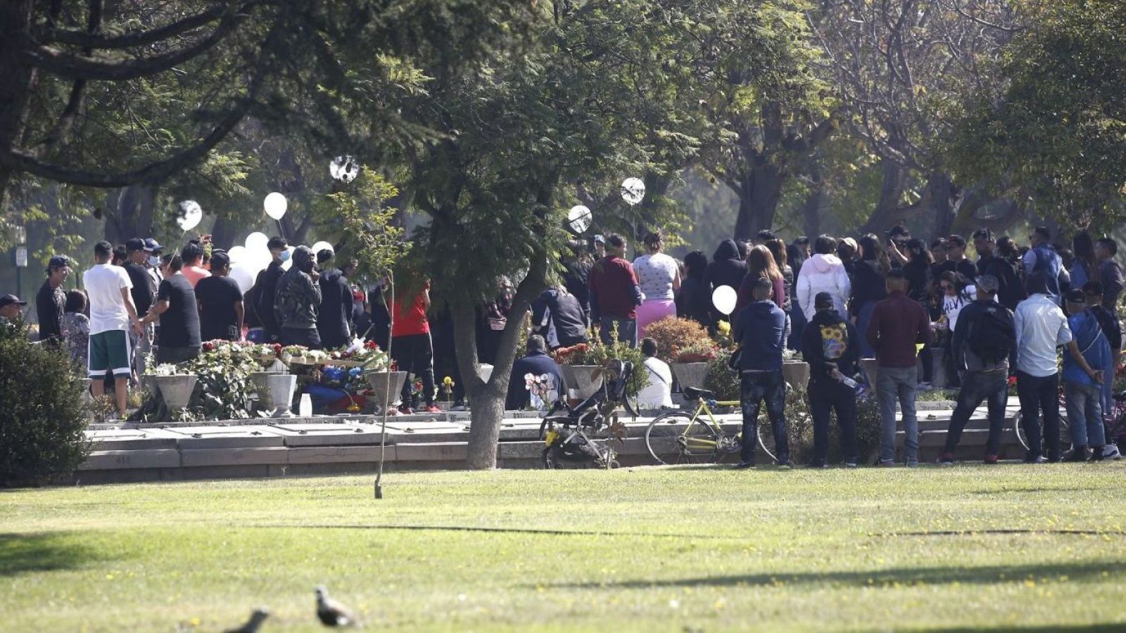 Sernac oficia a Cementerio Metropolitano por presuntas irregularidades: hubo 40 denuncias