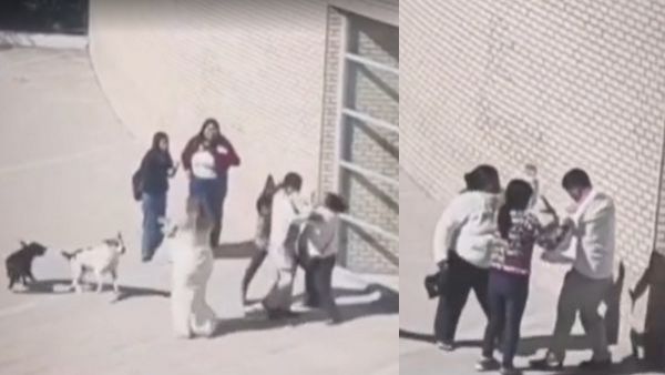 El hilarante relato de testigo de golpiza a hombre con dos esposas: "La suegra era brígida"
