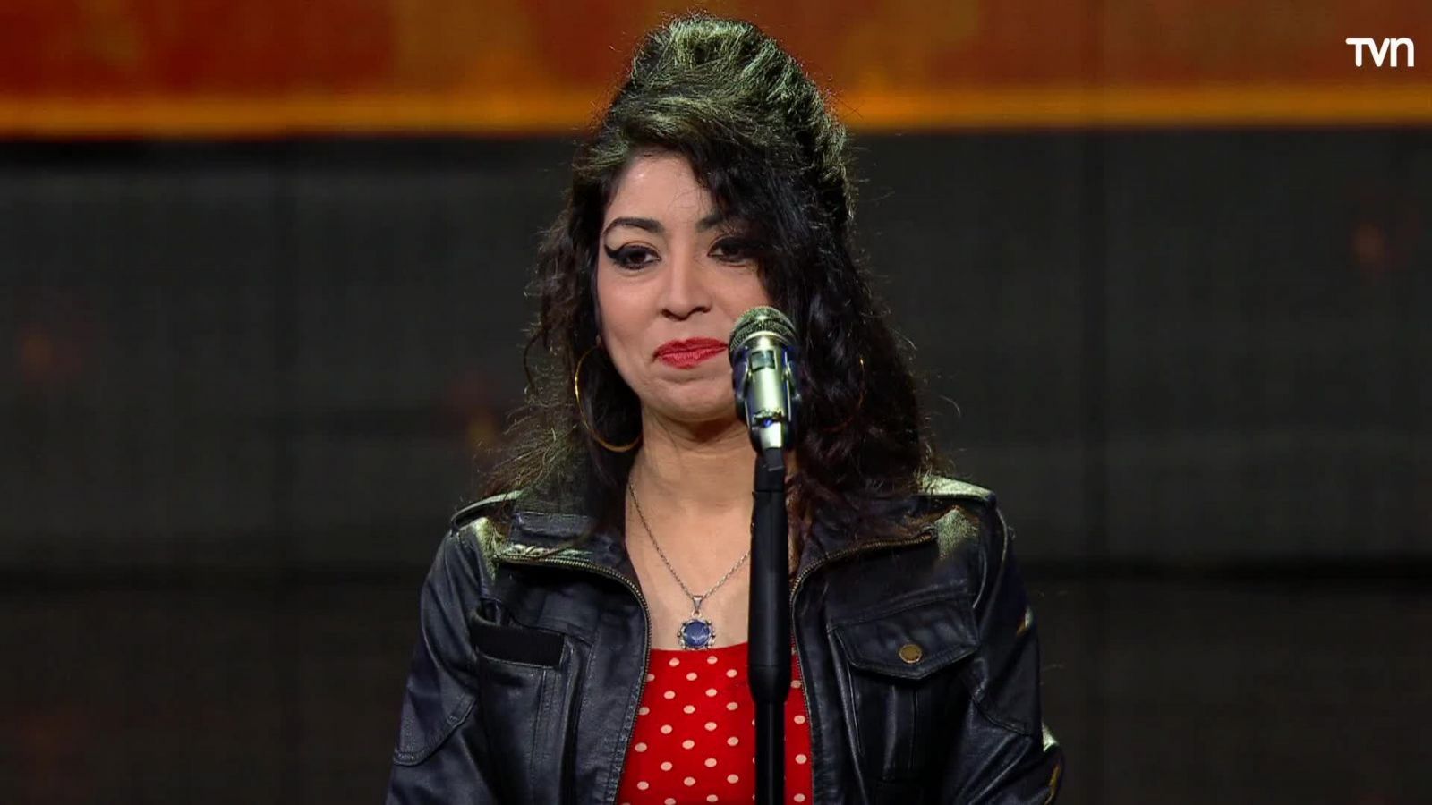 <p>Amy Winehouse en Mi nombre es 2</p>
