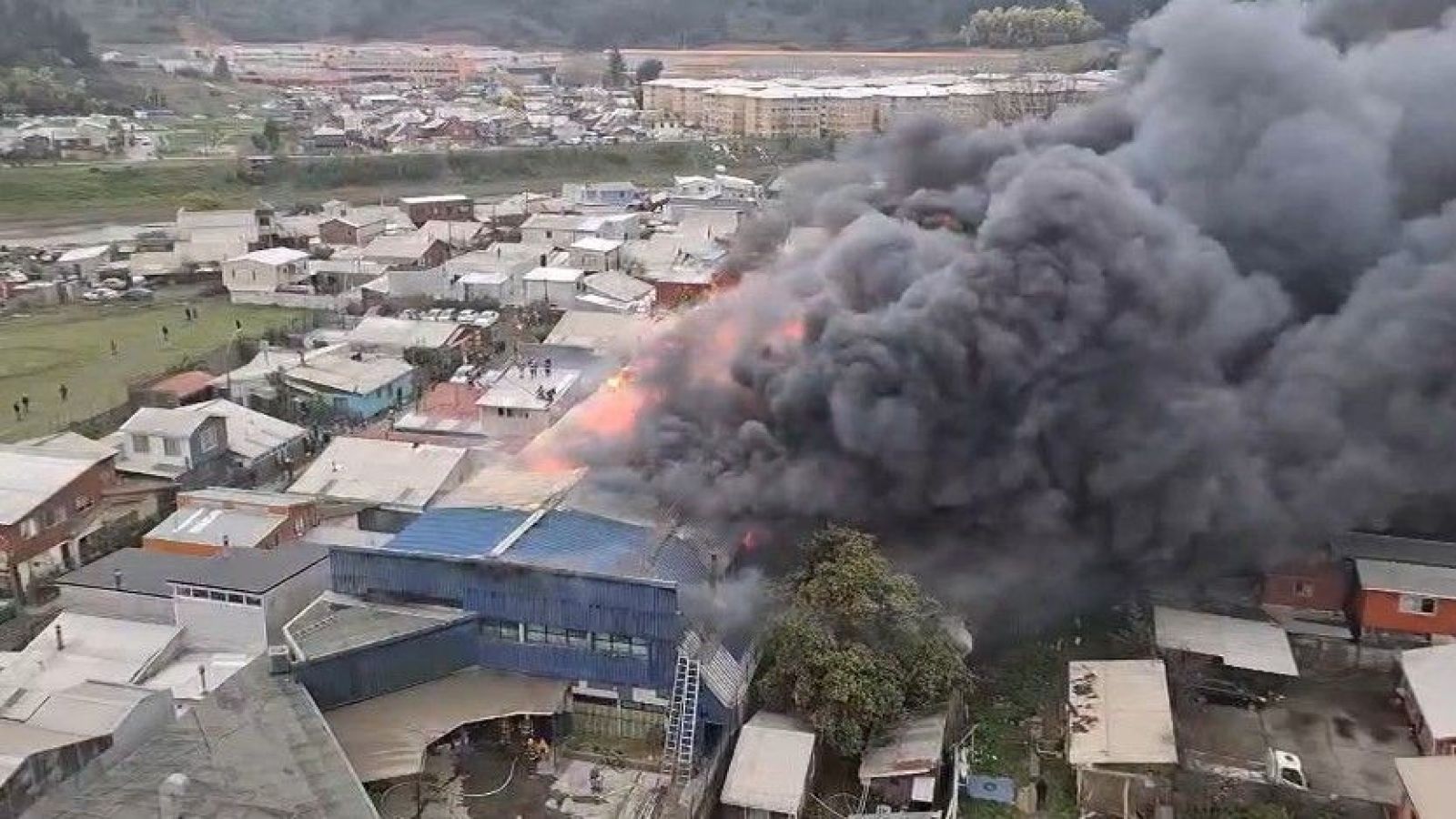 Amenaza a viviendas: Incendio de gran magnitud afecta a bodega en Concepción
