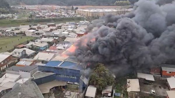 Amenaza a viviendas: Incendio de gran magnitud afecta a bodega en Concepción
