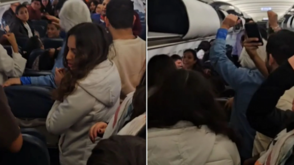 "Por la irresponsabilidad de una señora...": Vuelo se retrasó tres horas para buscar un hámster en avión
