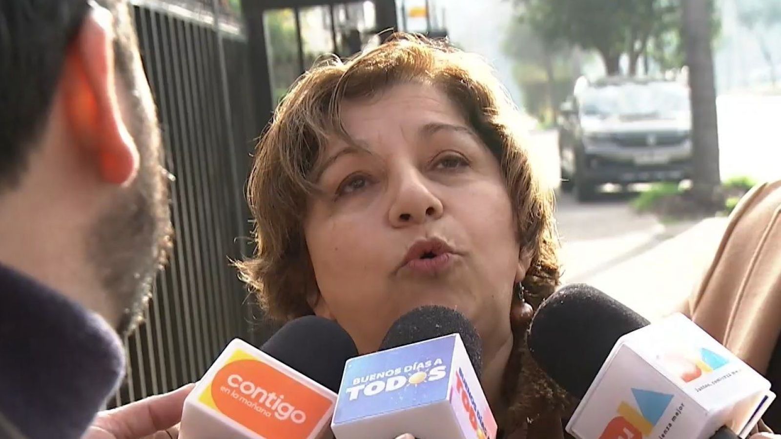 <p>Jueza Irene Rodríguez </p>
