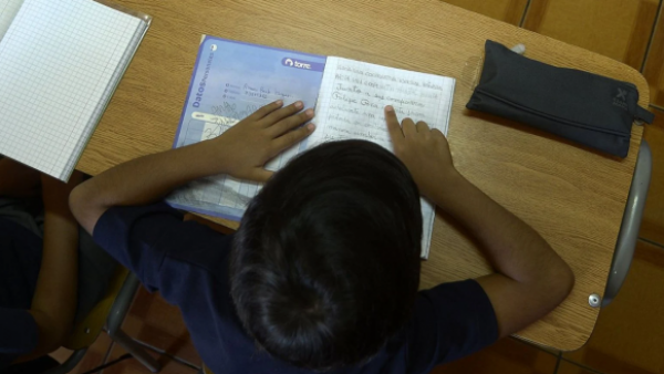 <p>Se elimina el sistema aleatorio: Admisión Escolar 2026 asignará vacantes en función del RUN</p>Se elimina el sistema aleatorio: Admisión Escolar 2026 asignará vacantes en función del RUN
