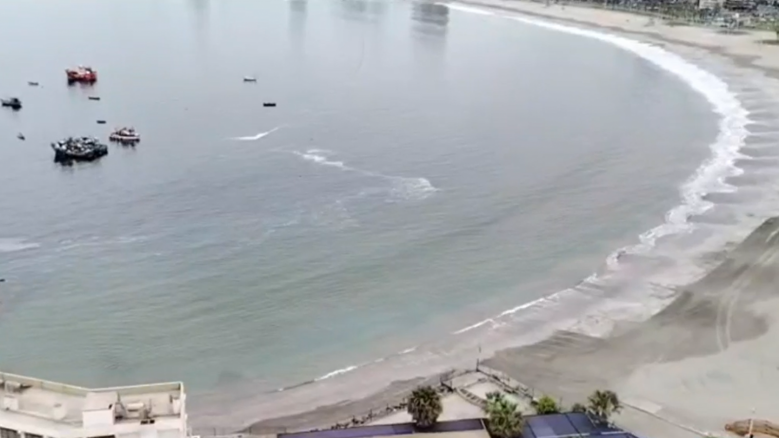 VIDEO | Así sonaron las alarmas de evacuación de tsunami en Iquique
