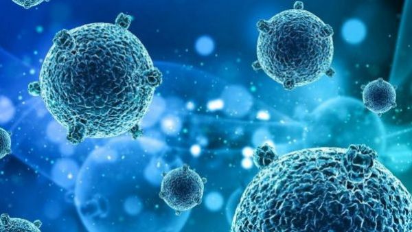 <p>Virus respiratorios pueden promover la metástasis pulmonar del cáncer de mama</p>
