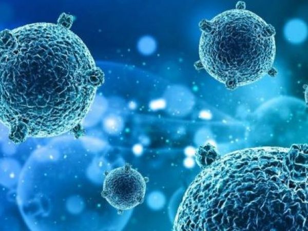 Virus respiratorios pueden promover la metástasis pulmonar del cáncer de mama