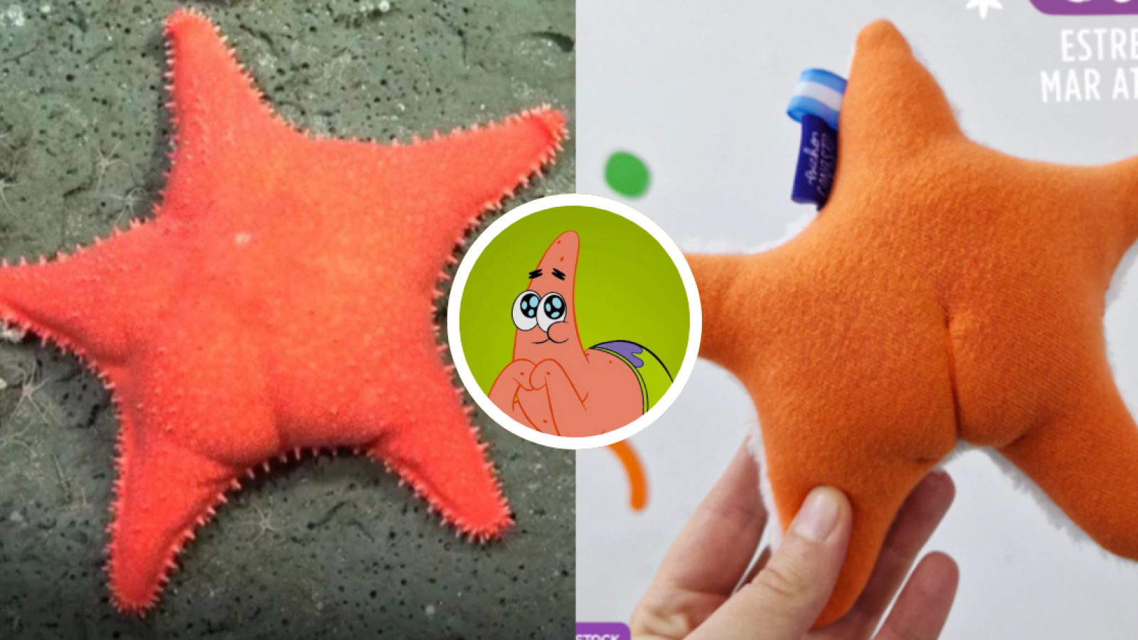 Venden peluche de Patricio estrella nalgón