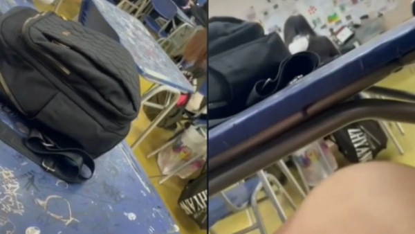 Graban a profesor gritando a alumna que habría defendido a Pinochet