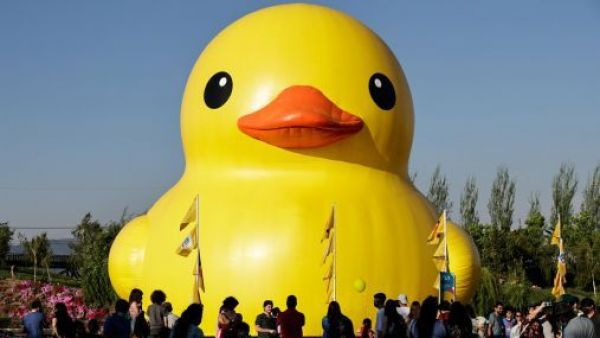 ¿Cuándo y dónde encontrarlo? Pato gigante vuelve a Santiago
