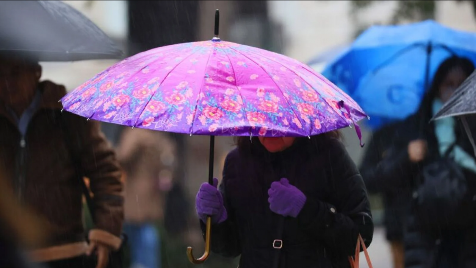 Lluvia podría marcar el feriado del 15 de agosto en Santiago