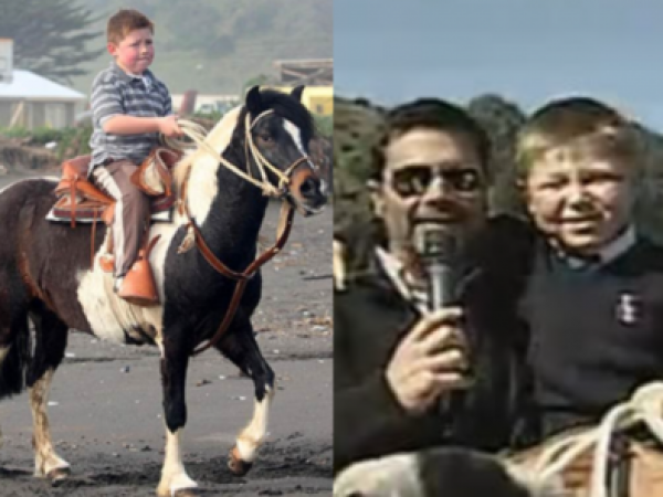 Fallece el caballo que regaló Felipe Camiroaga a Zafrada: 