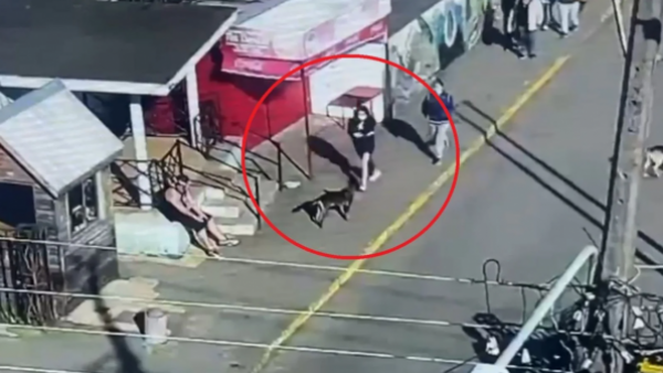 <p>Difunden video de mujer huyó con su bebé desde Hospital de Coronel</p>Difunden video de mujer que huyó con su bebé desde Hospital de Coronel
