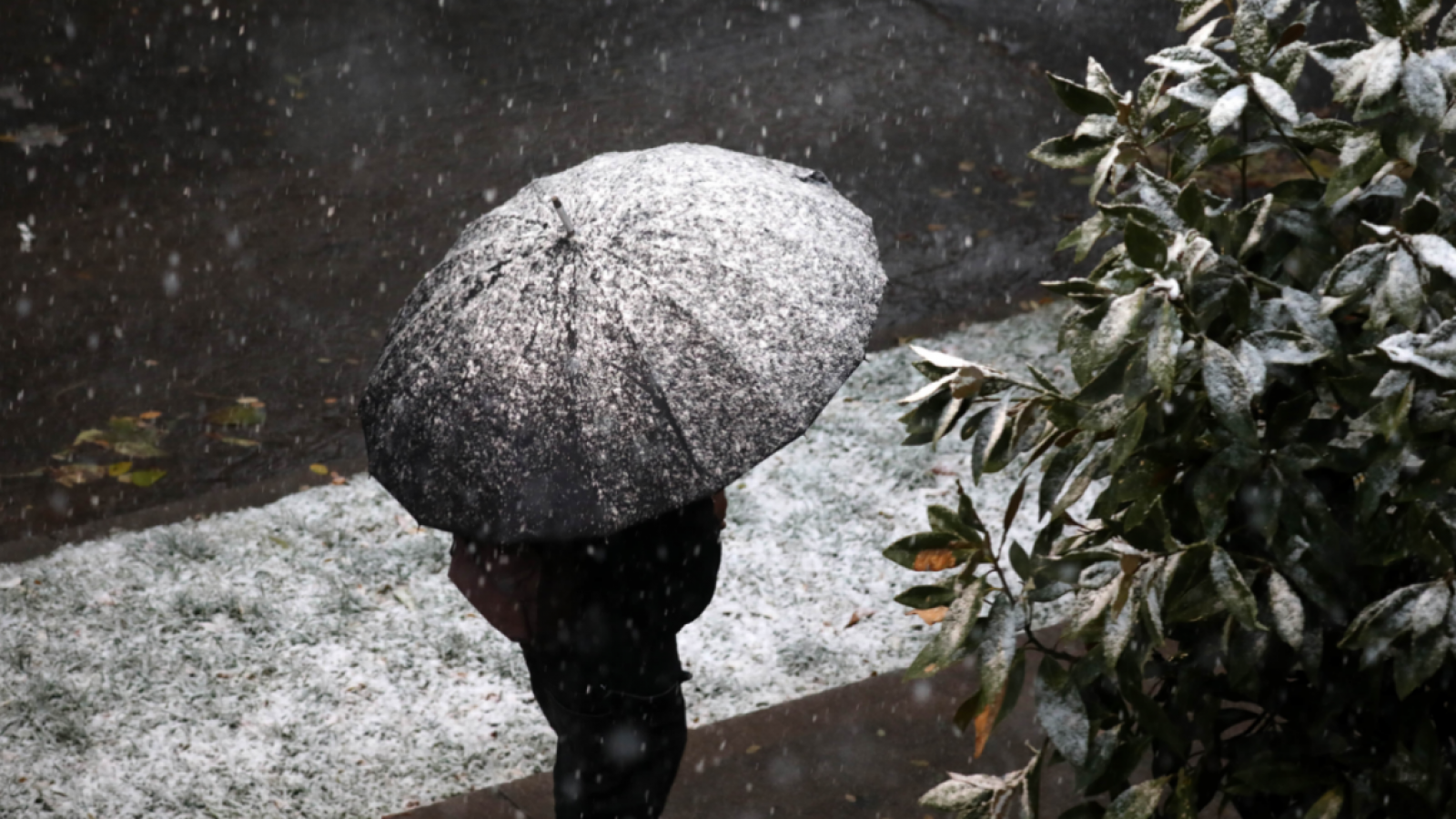 Frío extremo en Santiago: Iván Torres anticipa nieve y agua nieve en la RM