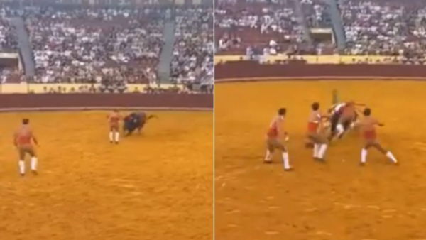 Fuertes imágenes: Joven forcado fallece luego ser embestido por un toro en Portugal
