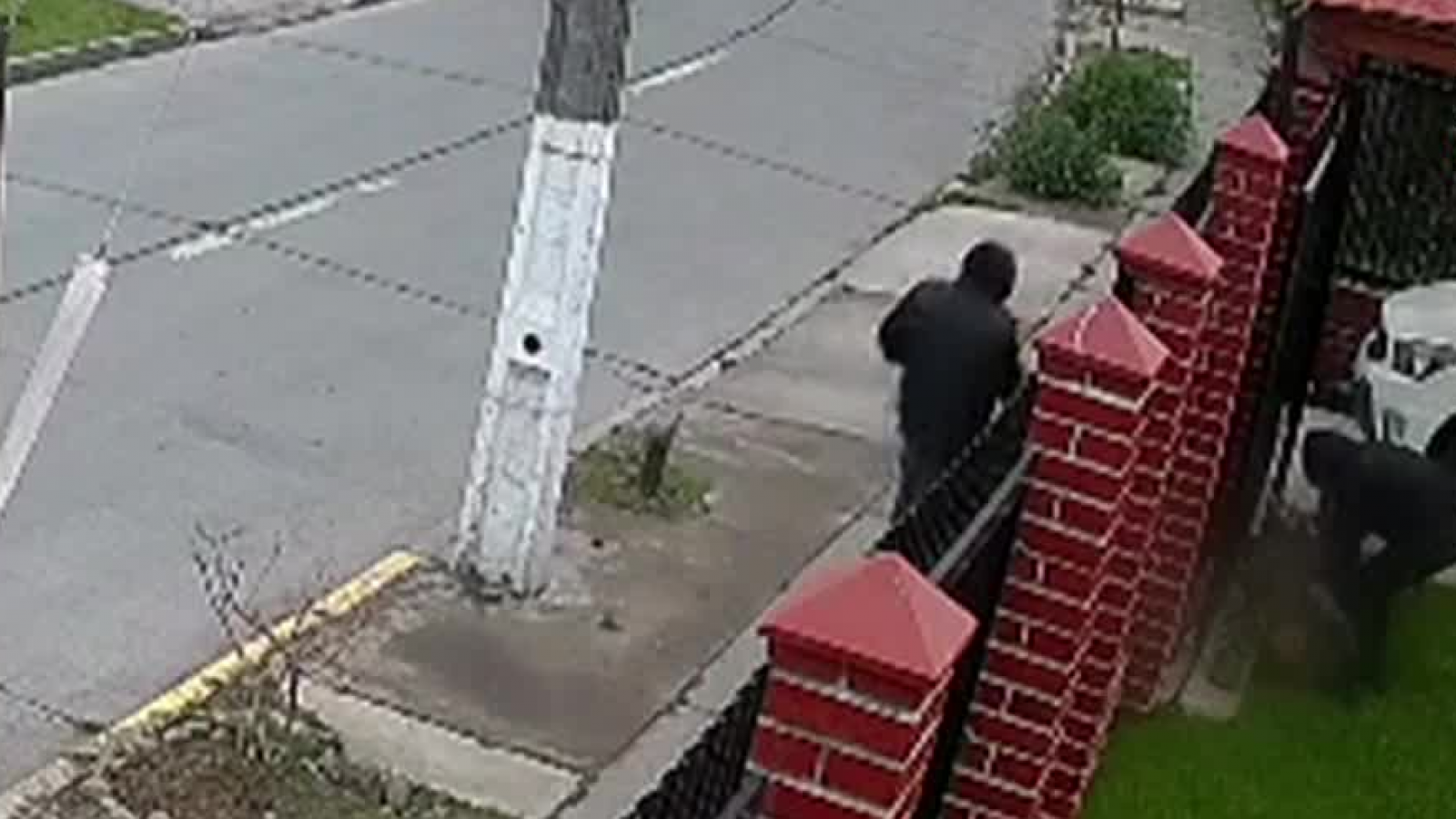 A plena luz del día: video muestra violenta golpiza a adulto mayor en Maipú