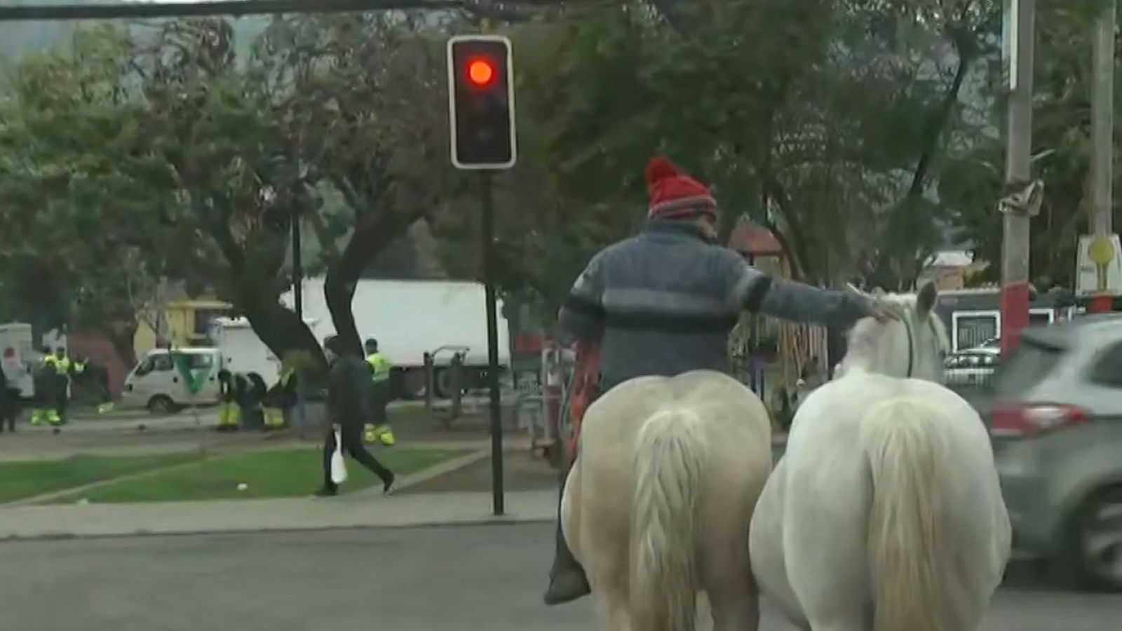 ¡Caballitos en fuga! Animales impiden el tránsito en calles de Recoleta
