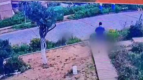 <p>Caso de abuso en Viña del Mar: médico enfrenta 9 denuncias y videos en su contra salen a la luz</p>Caso de abuso en Viña del Mar: médico enfrenta 9 denuncias y videos en su contra salen a la luz
