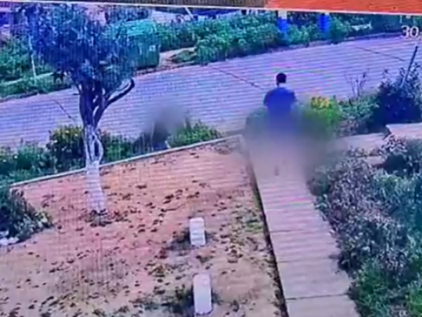 Caso de abuso en Viña del Mar: médico enfrenta 9 denuncias y videos en su contra salen a la luz