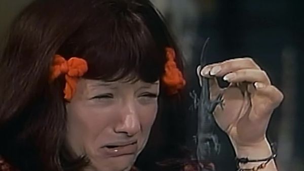 El Chavo del 8: La lagartija
