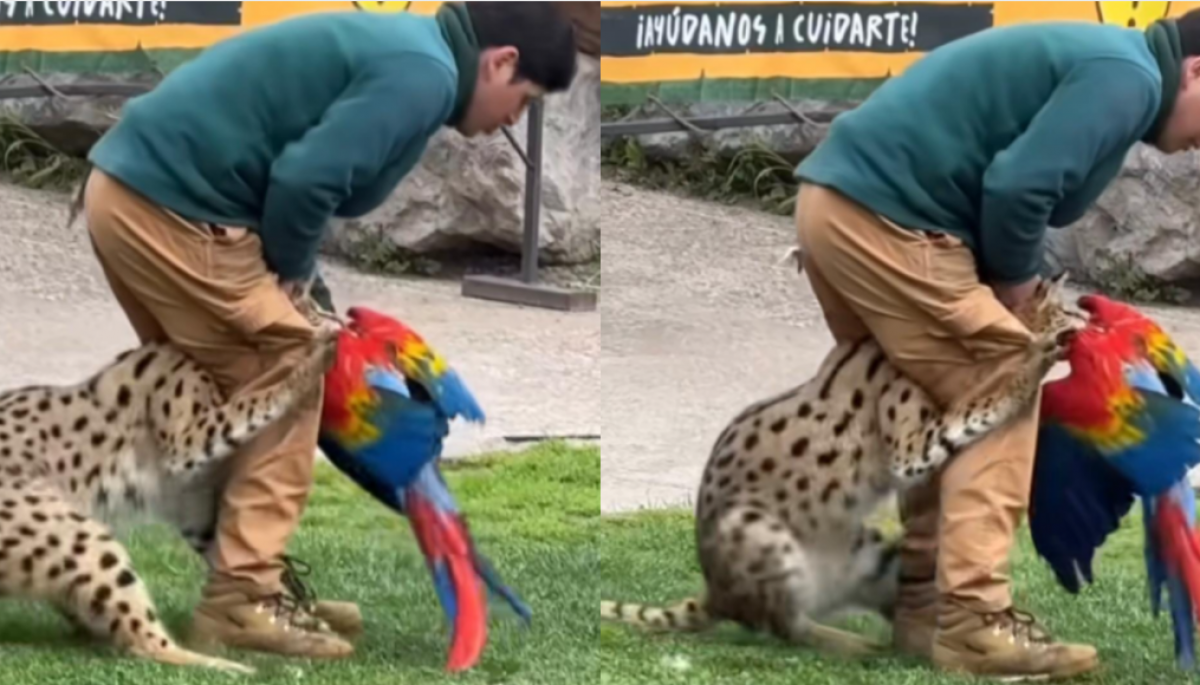 Pytkelly xxx great venue within a high-end apartment.