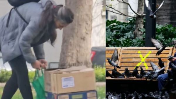 Preocupación por cazadoras de palomas en Santiago: "Hay pistas que un restaurante las compra"
