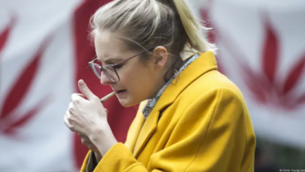 <p>Así afecta el cannabis a la fertilidad femenina</p>Así afecta el cannabis a la fertilidad femenina
