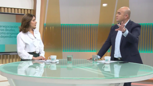 Necesito solicitar la reorganización: ¿Debo hacerlo como empresa o persona?
