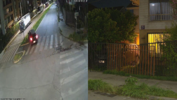 ¿Quién responde? Conductor ebrio y sin licencia impactó casa en Quilicura e intentó fugarse
