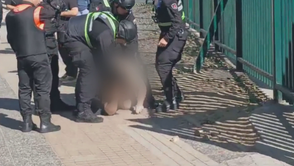 <p>Guardias involucrados en muerte de joven: revelan registros de la brutal agresión en Mallplaza Vespucio</p>Guardias involucrados en muerte de joven en Mallplaza Vespucio: revelan registros de la agresión
