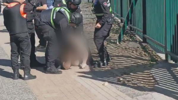 <p>Por estrangulamiento: revelan causa de muerte de joven golpeado por guardias en Mallplaza Vespucio </p>Muerte por estrangulamiento: esclarecen causa del deceso de joven en Mallplaza Vespucio
