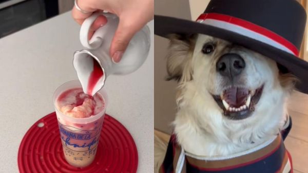 Terremoto y choripán aptos perros: Las recetas en tendencia en redes sociales
