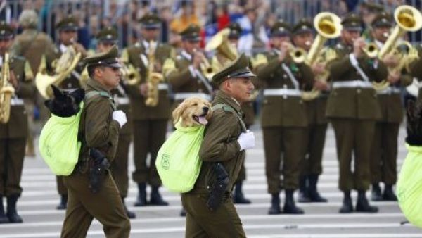 Desvíos de tránsito, horarios y dónde ver: lo que debes saber de la Parada Militar 2025
