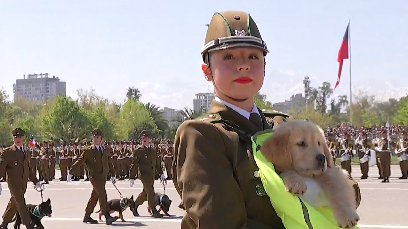 Peludos y queridos: El desfile de los perritos junto a Carabineros en la Parada Militar 2025
