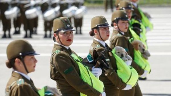 Sigue EN VIVO la Parada Militar 2025
