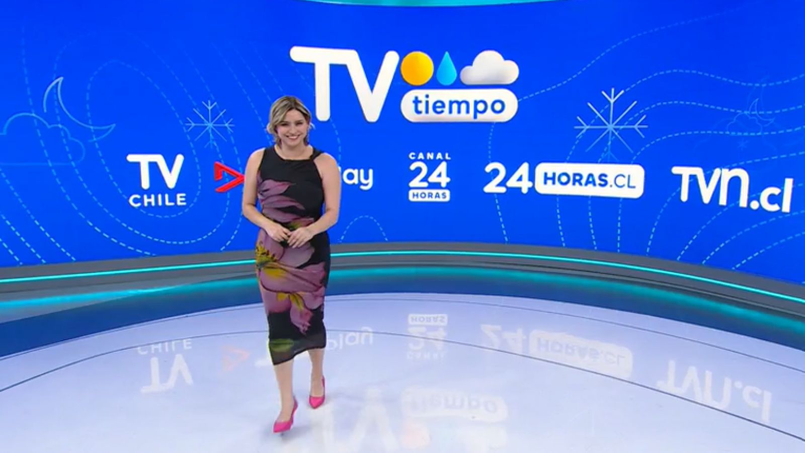 <p>TV Tiempo</p>

