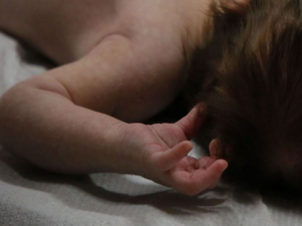 Tenía seis días de nacido: 15 años de prisión para madre que asfixió a su hijo en Punta Arenas