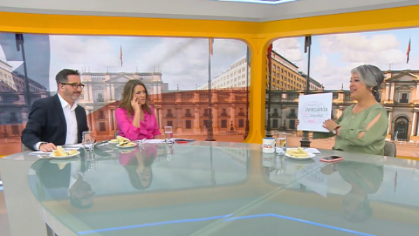 "Prioritario desde el día uno": Jeannette Jara detalla sus propuestas de seguridad y migración
