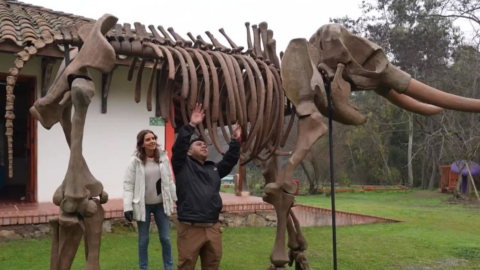 María Luisa Godoy y su viaje al pasado en San Vicente de Tagua Tagua
