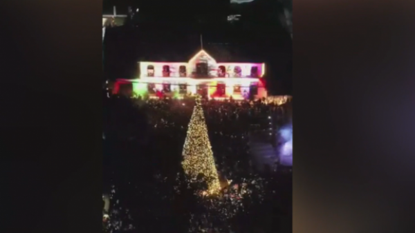 Se apagaron las luces: Buin desiste de árbol de navidad de $76 millones
